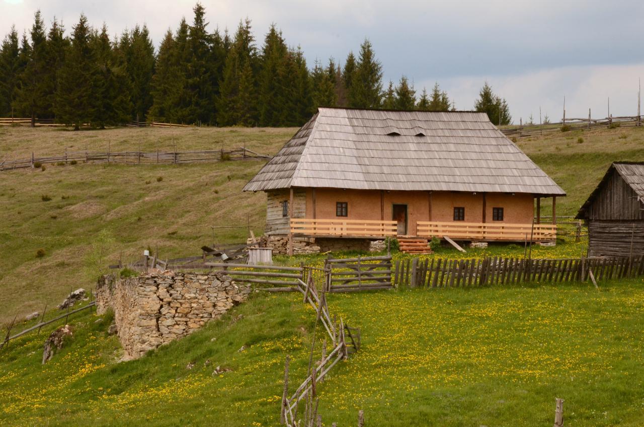 Casa Florea Hotel Poiana Stampei Екстериор снимка